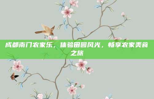 成都南门农家乐，体验田园风光，畅享农家美食之旅