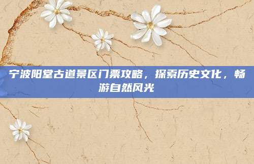 宁波阳堂古道景区门票攻略,探索历史文化,畅游自然风光
