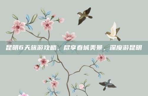 昆明6天旅游攻略,尽享春城美景,深度游昆明