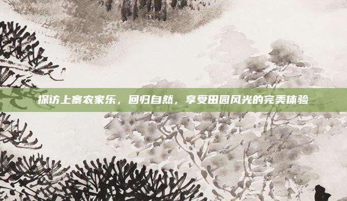 探访上寨农家乐，回归自然，享受田园风光的完美体验