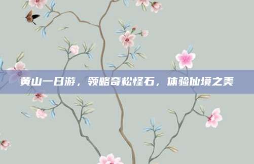 黄山一日游,领略奇松怪石,体验仙境之美