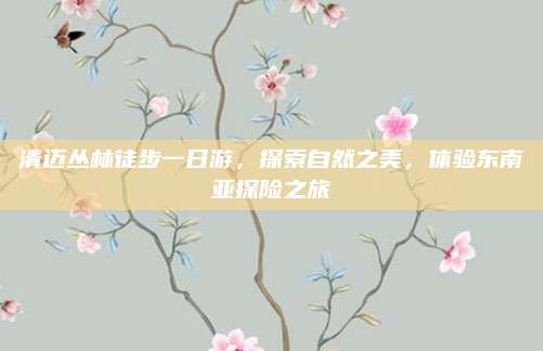 清迈丛林徒步一日游,探索自然之美,体验东南亚探险之旅