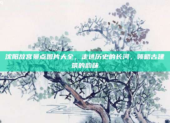 沈阳故宫景点图片大全,走进历史的长河,领略古建筑的韵味