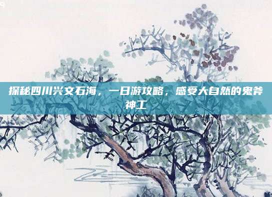 探秘四川兴文石海,一日游攻略,感受大自然的鬼斧神工