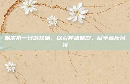 格尔木一日游攻略,探索神秘盐湖,尽享高原风光
