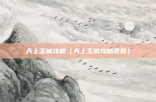 天上王城攻略(天上王城攻略视频)