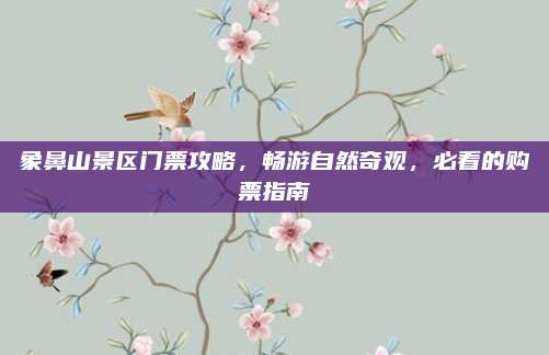 象鼻山景区门票攻略,畅游自然奇观,必看的购票指南