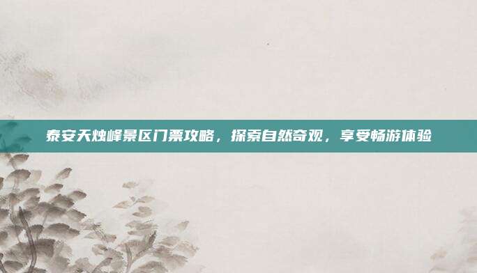 泰安天烛峰景区门票攻略，探索自然奇观，享受畅游体验