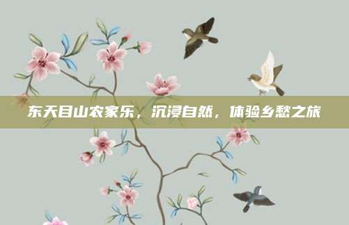 东天目山农家乐，沉浸自然，体验乡愁之旅