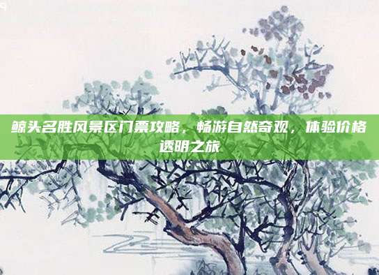 鲸头名胜风景区门票攻略,畅游自然奇观,体验价格透明之旅