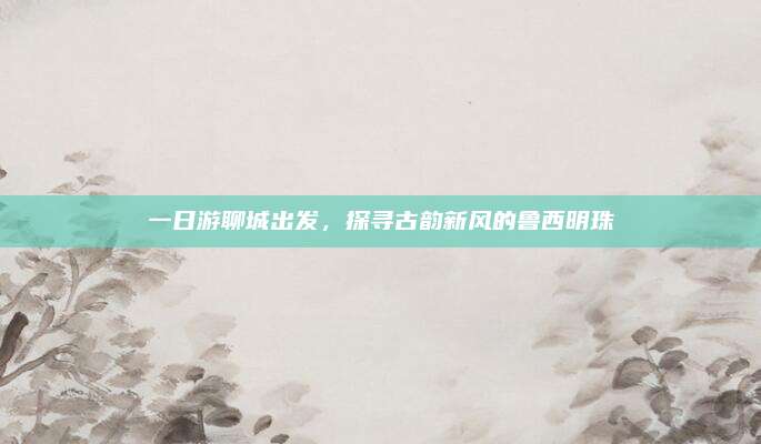 一日游聊城出发,探寻古韵新风的鲁西明珠