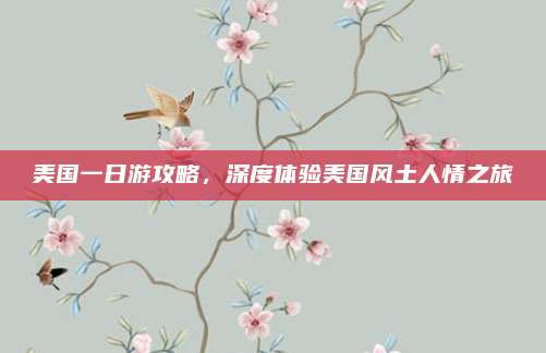 美国一日游攻略,深度体验美国风土人情之旅