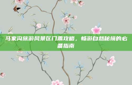 马家沟旅游风景区门票攻略,畅游自然秘境的必备指南