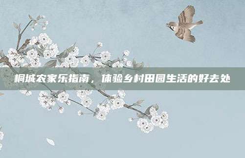 桐城农家乐指南,体验乡村田园生活的好去处