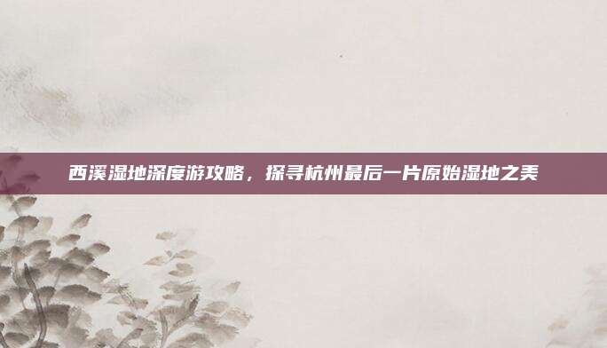 西溪湿地深度游攻略,探寻杭州最后一片原始湿地之美