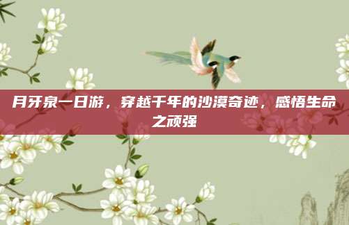 月牙泉一日游，穿越千年的沙漠奇迹，感悟生命之顽强