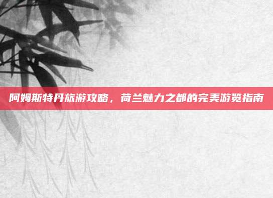 阿姆斯特丹旅游攻略,荷兰魅力之都的完美游览指南