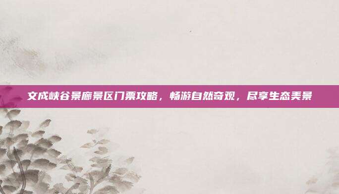 文成峡谷景廊景区门票攻略,畅游自然奇观,尽享生态美景
