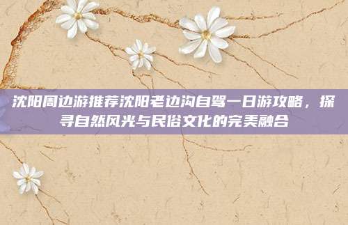 沈阳周边游推荐沈阳老边沟自驾一日游攻略,探寻自然风光与民俗文化的完美融合