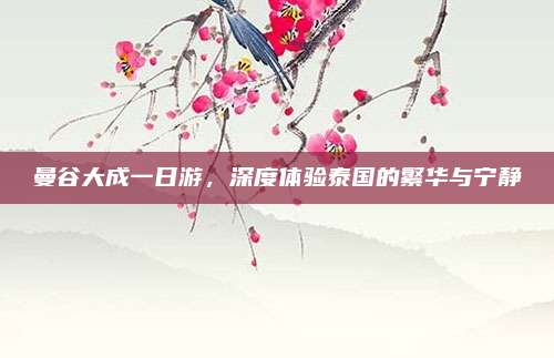 曼谷大成一日游，深度体验泰国的繁华与宁静