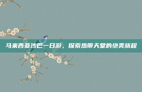 马来西亚沙巴一日游,探索热带天堂的绝美旅程