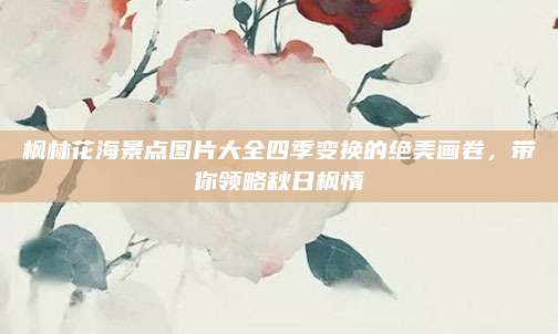 枫林花海景点图片大全四季变换的绝美画卷，带你领略秋日枫情
