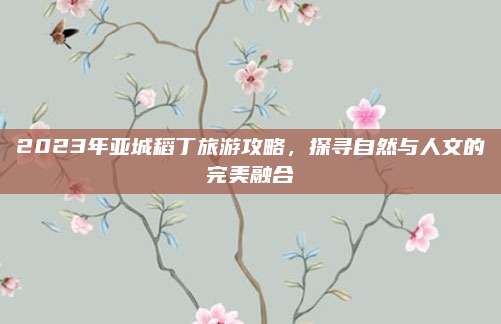 2023年亚城稻丁旅游攻略，探寻自然与人文的完美融合