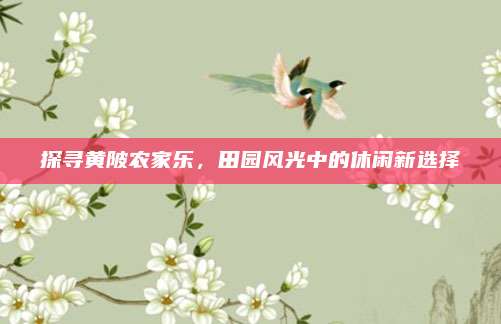 探寻黄陂农家乐，田园风光中的休闲新选择
