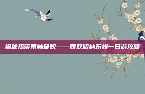 探秘热带雨林奇观——西双版纳东线一日游攻略