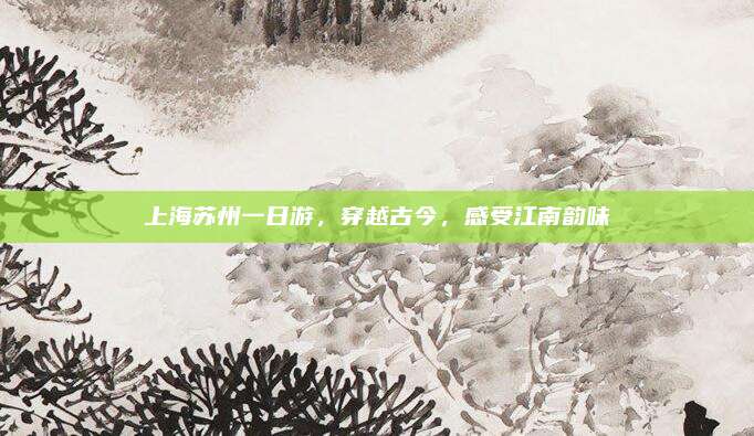 上海苏州一日游,穿越古今,感受江南韵味