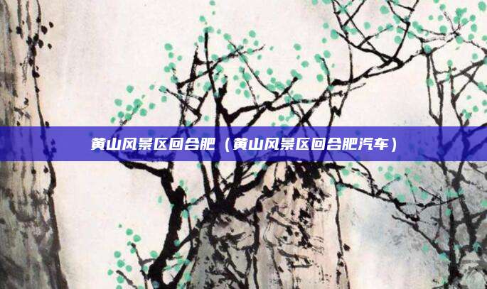 黄山风景区回合肥（黄山风景区回合肥汽车）