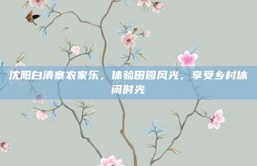 沈阳白清寨农家乐，体验田园风光，享受乡村休闲时光