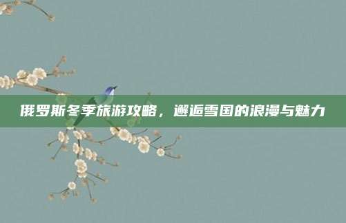 俄罗斯冬季旅游攻略，邂逅雪国的浪漫与魅力