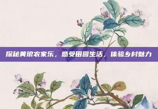 探秘黄琅农家乐，感受田园生活，体验乡村魅力
