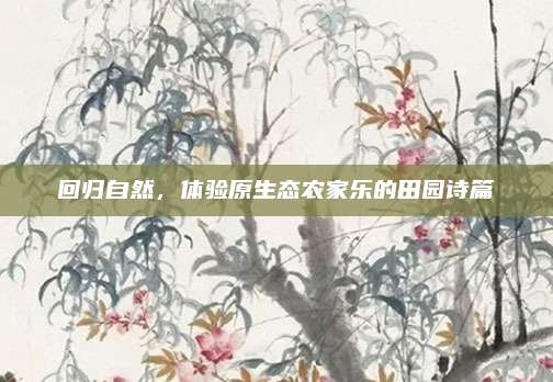 回归自然,体验原生态农家乐的田园诗篇