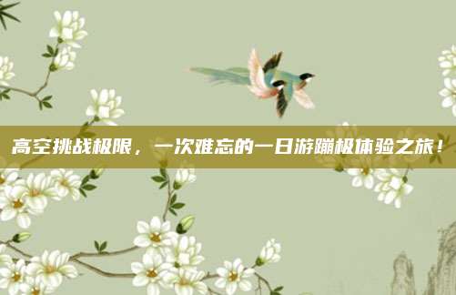 高空挑战极限,一次难忘的一日游蹦极体验之旅!