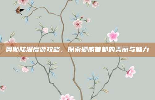 奥斯陆深度游攻略，探索挪威首都的美丽与魅力