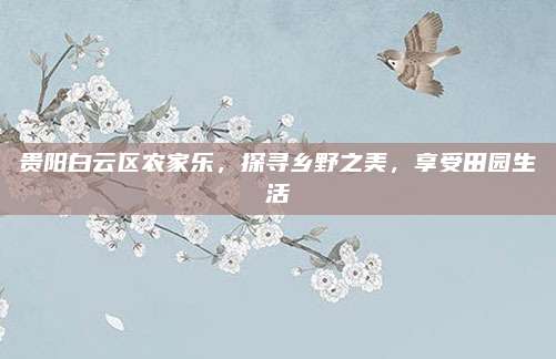 贵阳白云区农家乐,探寻乡野之美,享受田园生活