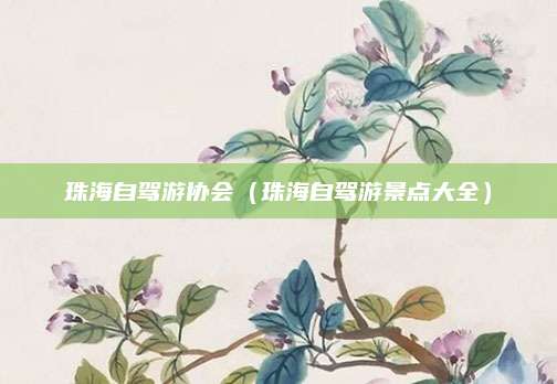 珠海自驾游协会（珠海自驾游景点大全）