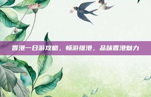 香港一日游攻略,畅游维港,品味香港魅力