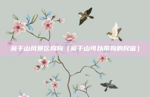 莫干山风景区狗狗（莫干山可以带狗的民宿）