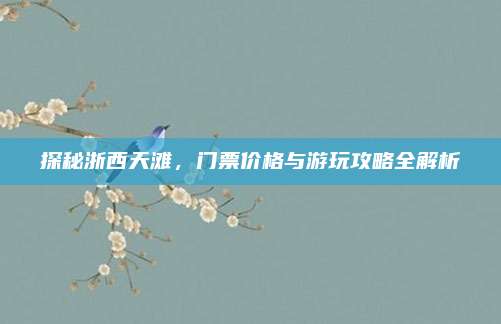 探秘浙西天滩，门票价格与游玩攻略全解析