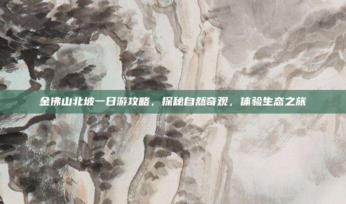 金佛山北坡一日游攻略,探秘自然奇观,体验生态之旅
