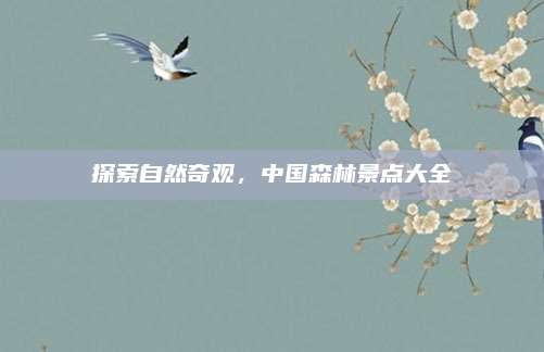 探索自然奇观,中国森林景点大全