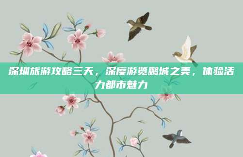 深圳旅游攻略三天,深度游览鹏城之美,体验活力都市魅力