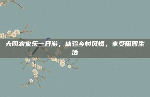 大同农家乐一日游,体验乡村风情,享受田园生活