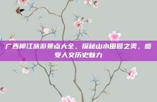 广西柳江旅游景点大全,探秘山水田园之美,感受人文历史魅力