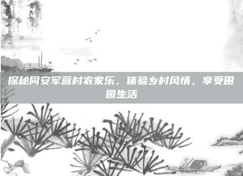 探秘同安军营村农家乐，体验乡村风情，享受田园生活