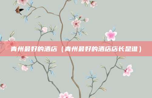 青州最好的酒店(青州最好的酒店店长是谁)