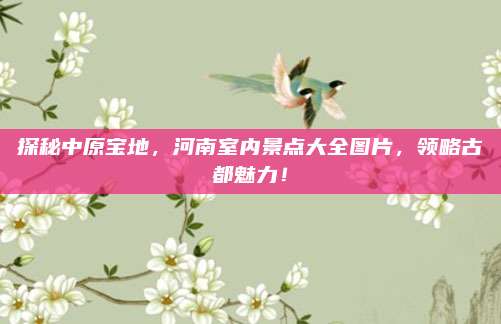 探秘中原宝地,河南室内景点大全图片,领略古都魅力!